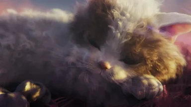 Fluffy cat sleeping peacefully on grass