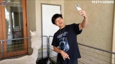 Man taking selfie with llama indoors