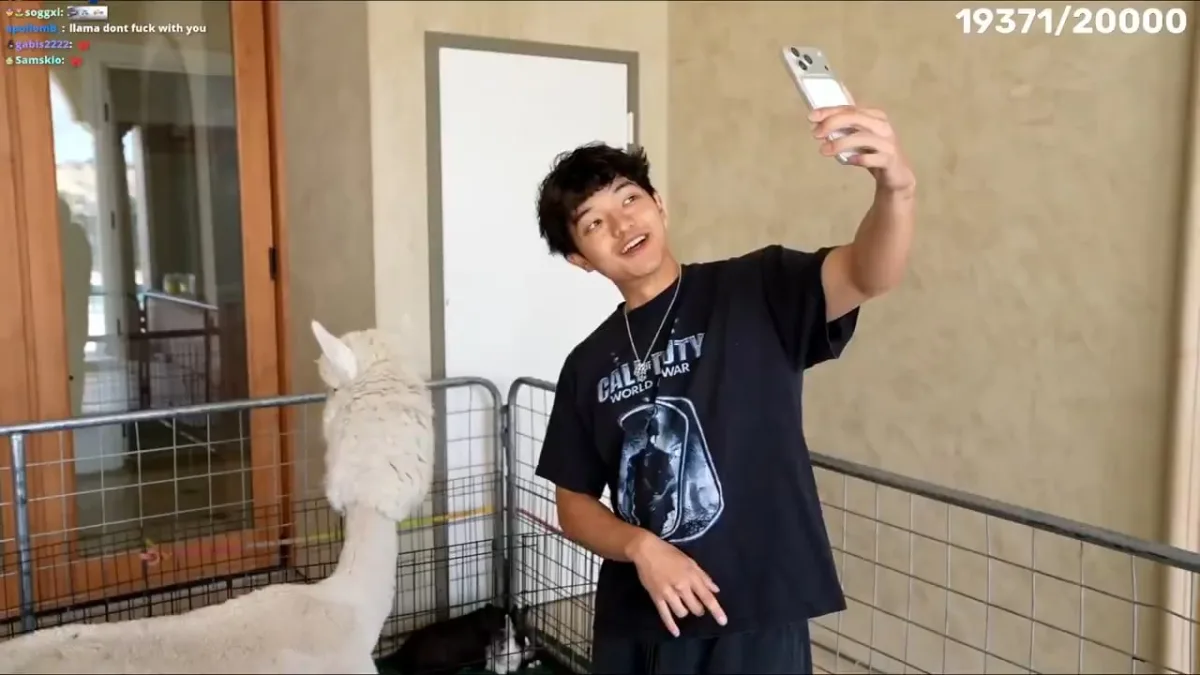 Man taking selfie with llama indoors