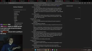 Streamer viewing notes on insurrection definition webpage