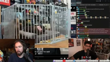 Streamers reacting to dog in playpen during livestream