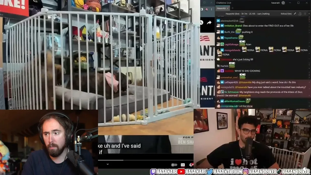 Streamers reacting to dog in playpen during livestream