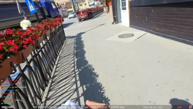 Sidewalk with red flowers and metal fence