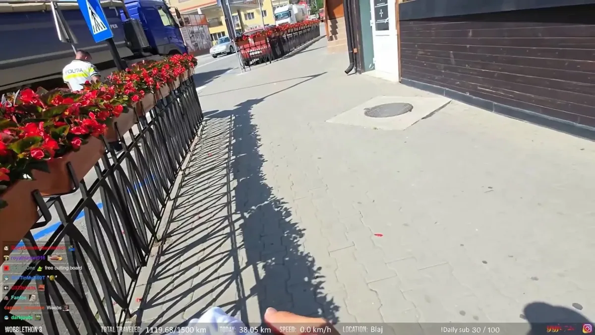 Sidewalk with red flowers and metal fence