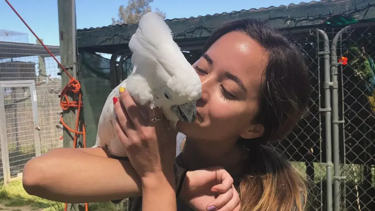 Person kissing white bird on arm at aviary.