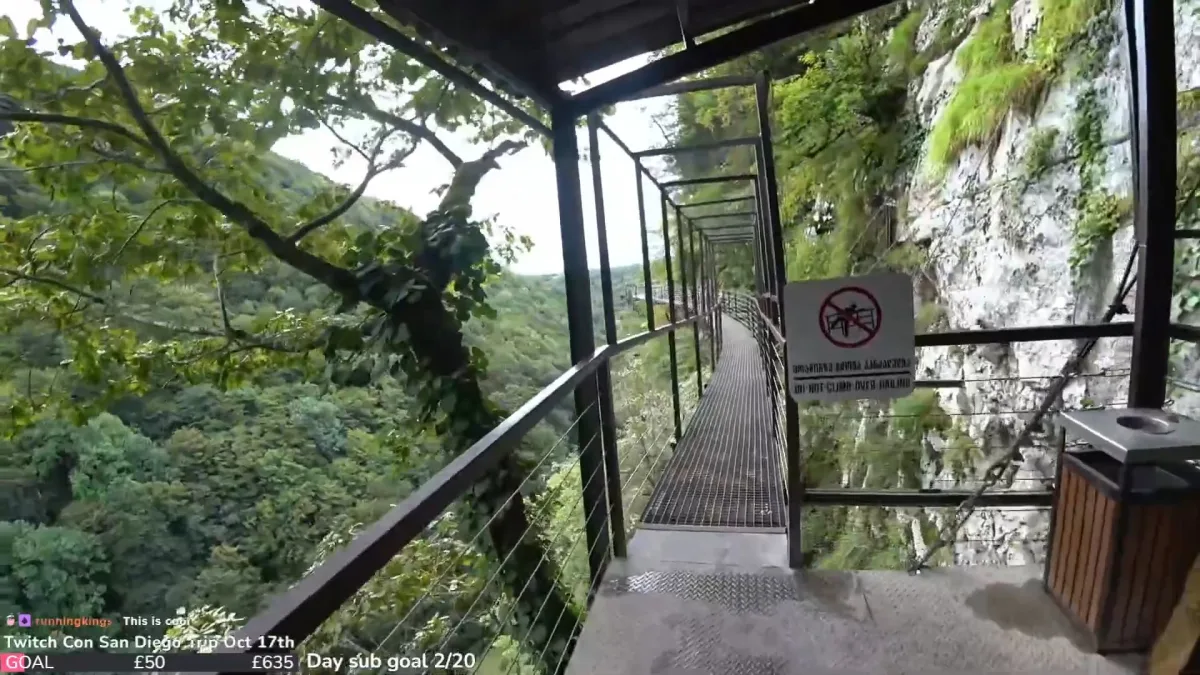 Narrow metal walkway through lush forested gorge