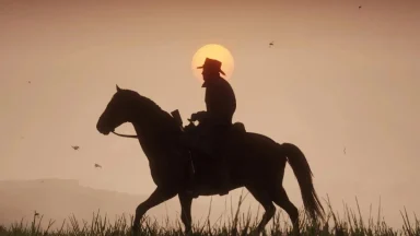 Silhouette of cowboy riding horse at sunset