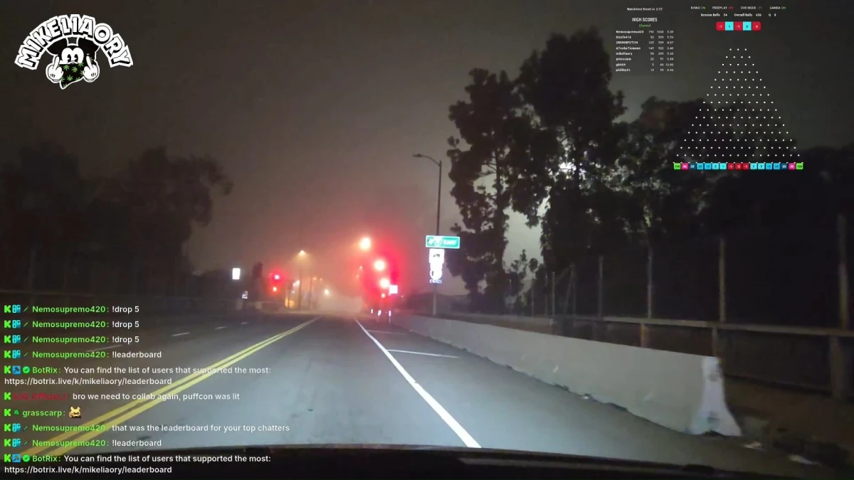 Mikeliaory driving and about to crash in LA.