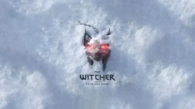 The Witcher medallion in snow, new saga begins.