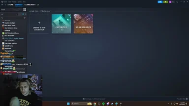 Streamer browsing Steam game library