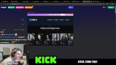 Streamer viewing website offering live viewer services